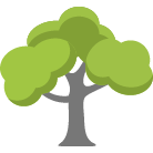 Mequon Tree Removal Service