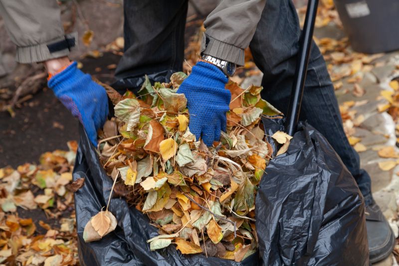 Leaf Collection and Removal