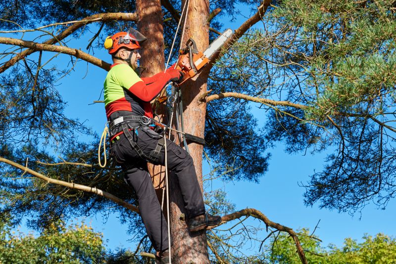 Independent Tree Experts